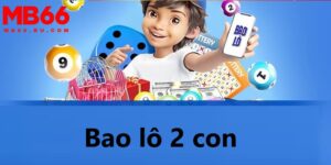 Bao lô 2 con là gì luôn được người chơi quan tâm