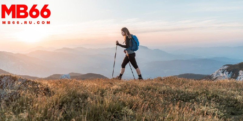 Mơ đi lạc nên chọn đánh nhiều con số khác nhau