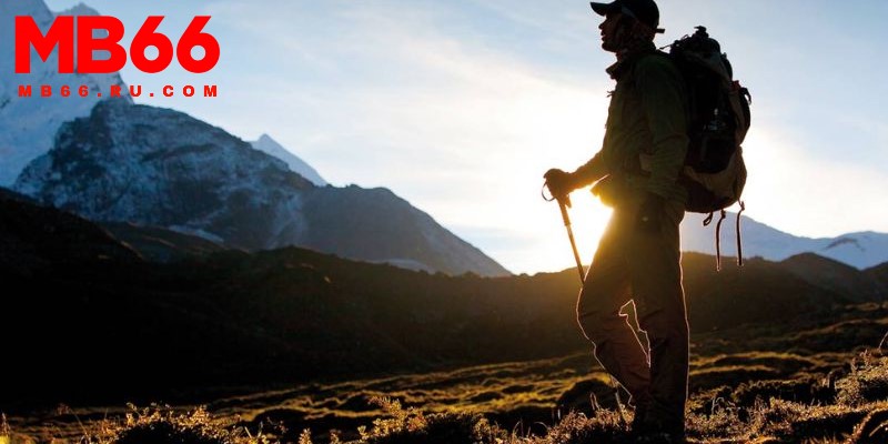 Mơ đi lạc và tìm được lối ra báo hiệu khó khăn sẽ sớm được vượt qua 